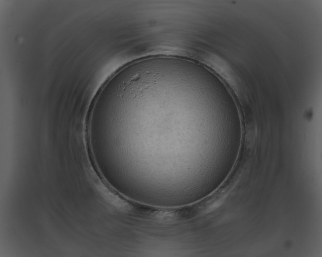 X0000093591283200710221516