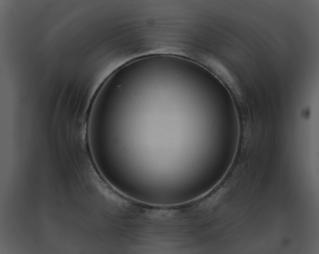 X0000093591284200710221516