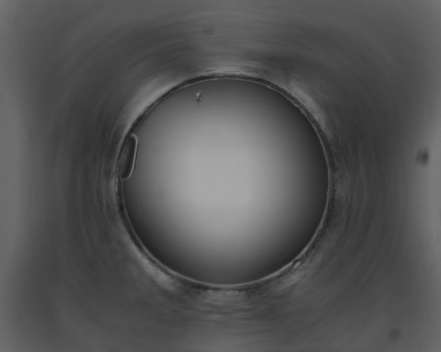 X0000093591285200710221516