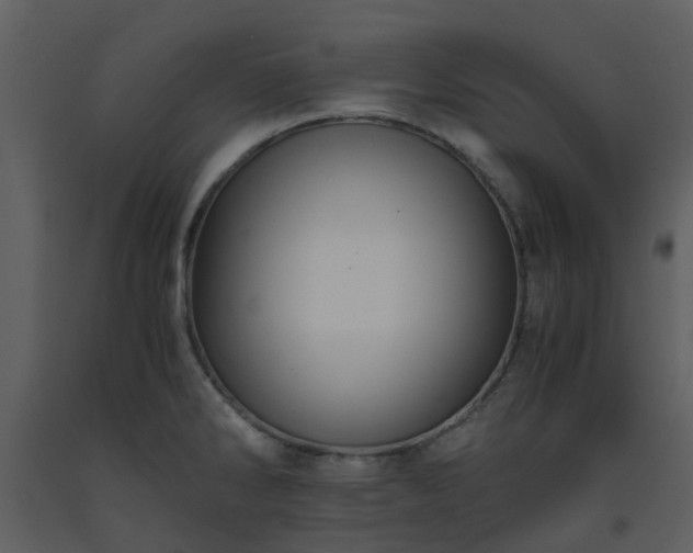 X0000093591286200710221516