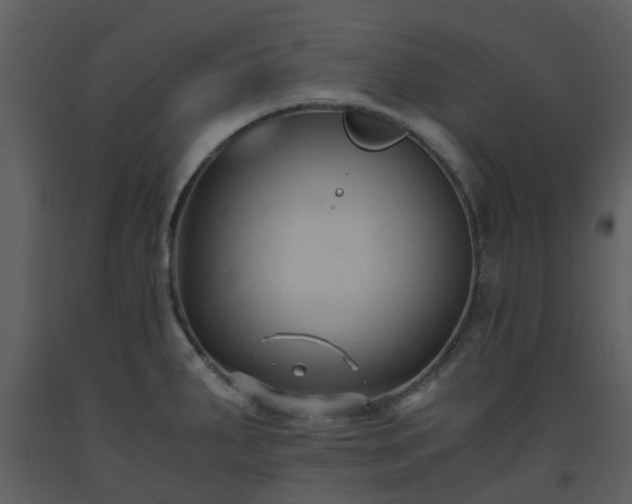 X0000093591287200710221516