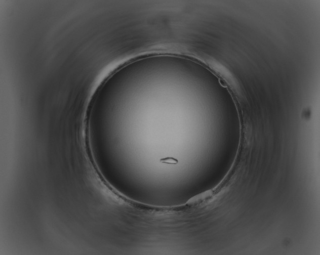 X0000093591288200710221516