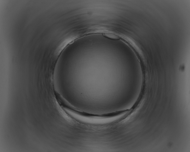 X0000093591289200710221516