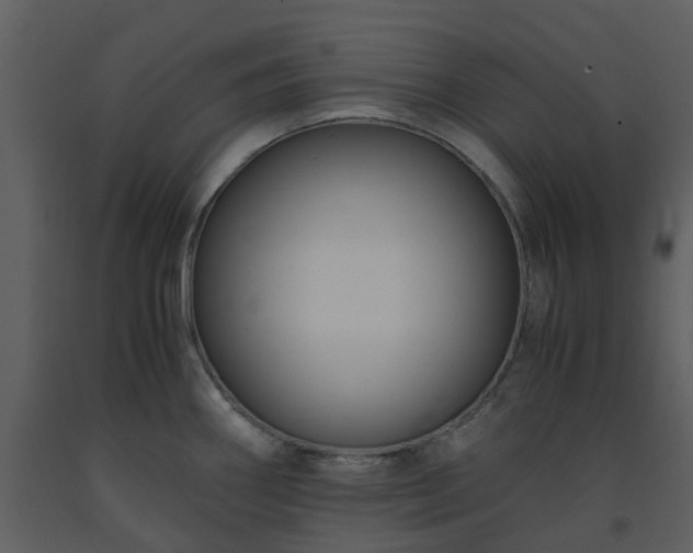 X0000093591290200710221516