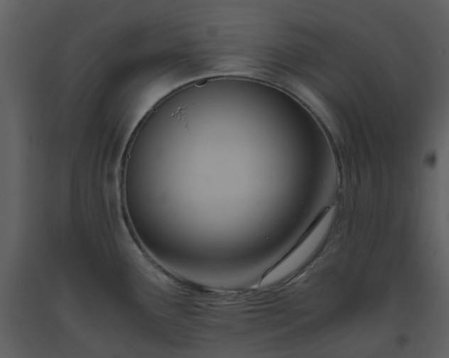 X0000093591291200710221516