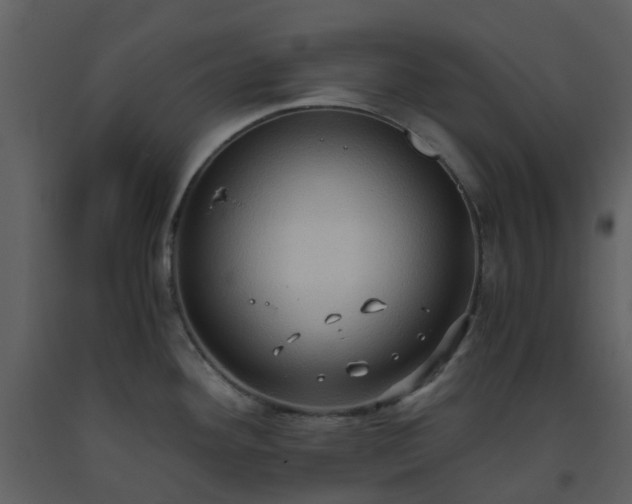 X0000093591292200710221516
