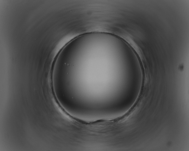 X0000093591293200710221516