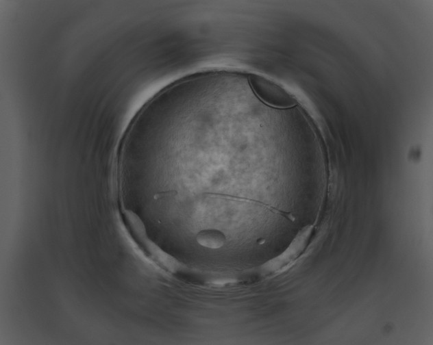 X0000093591295200710221516