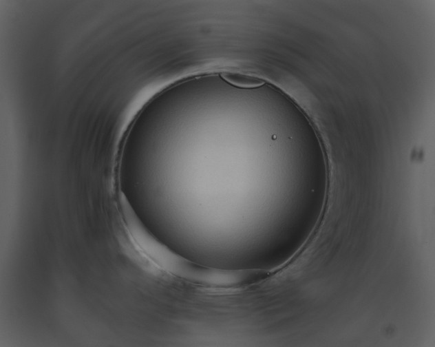 X0000093591296200710221516