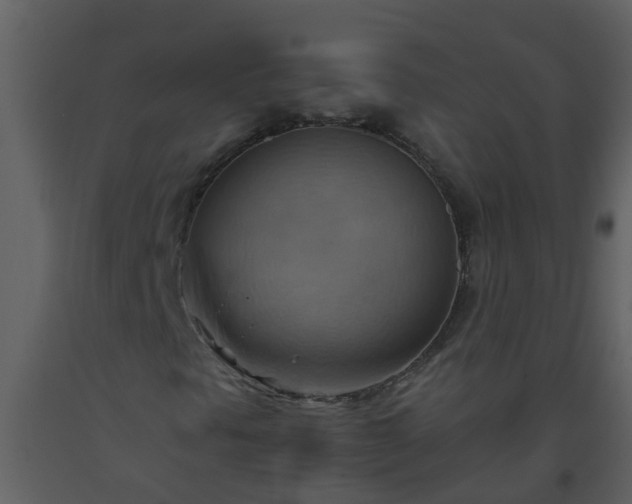 X0000093591297200710221515