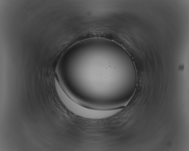 X0000093591298200710221515