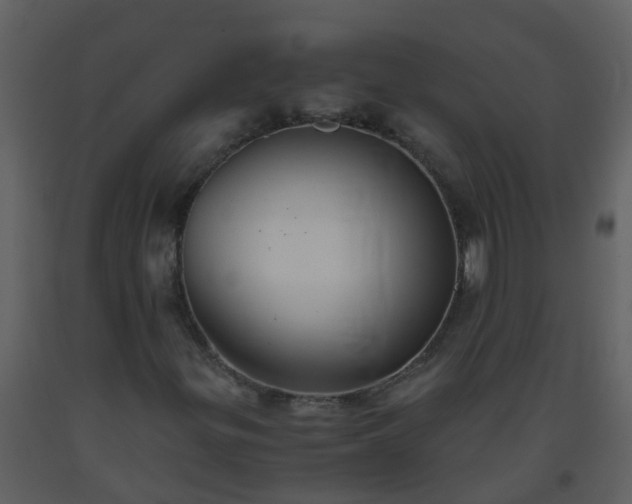 X0000093591299200710221515
