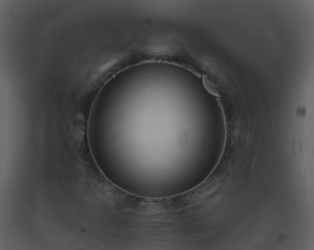 X0000093591301200710221515