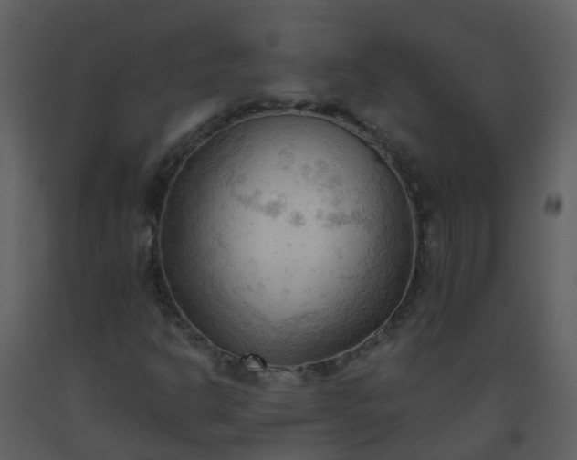 X0000093591302200710221515