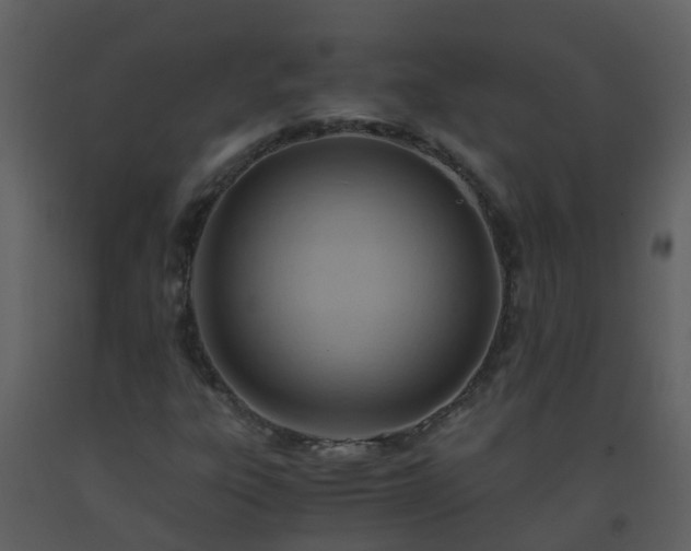 X0000093591303200710221515
