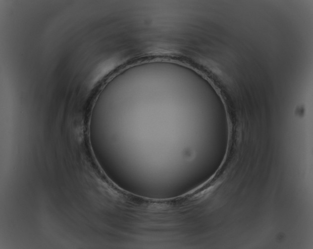 X0000093591306200710221515