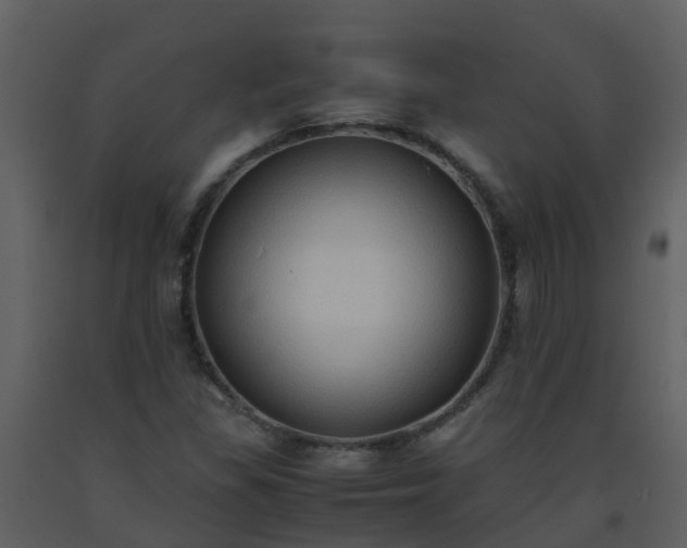 X0000093591309200710221515