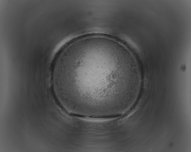 X0000093591310200710221515