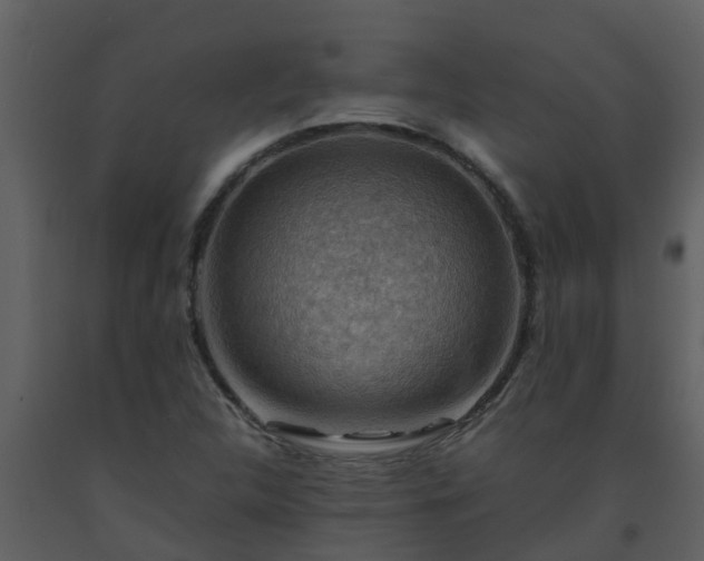 X0000093591312200710221515