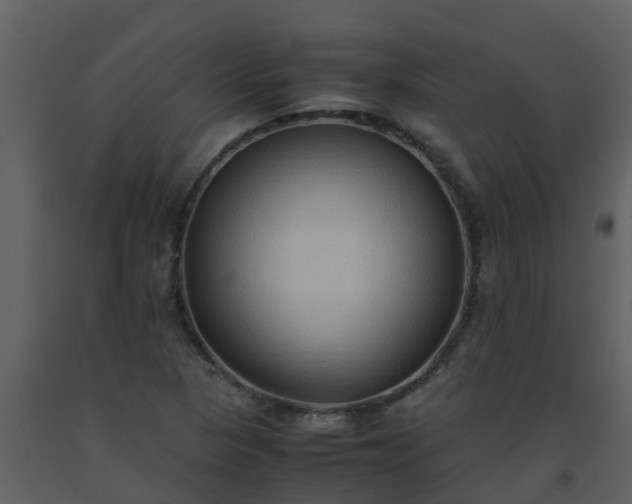 X0000093591313200710221515