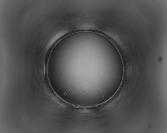 X0000093591317200710221515