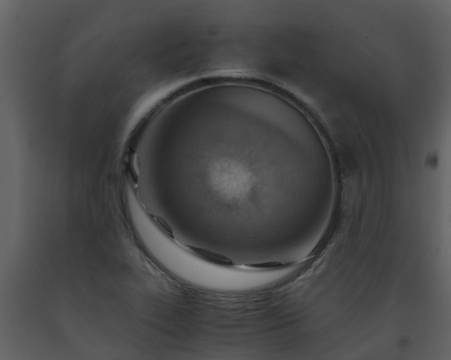 X0000093591319200710221515