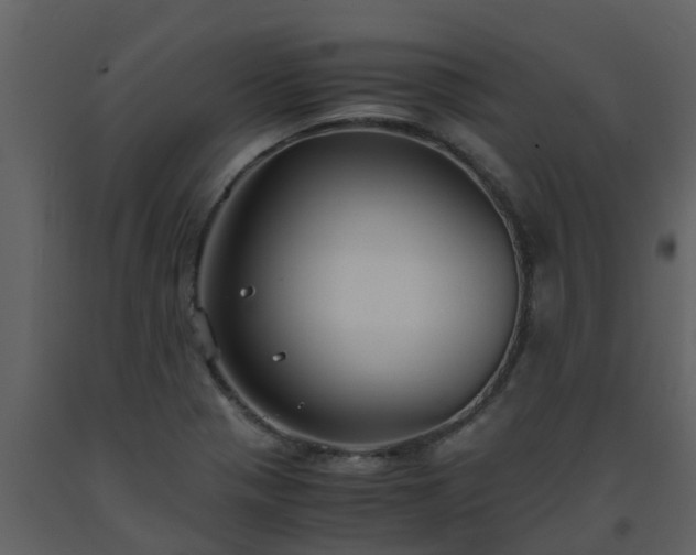 X0000093591321200710221515