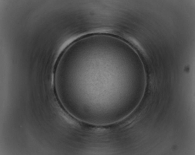 X0000093591324200710221515