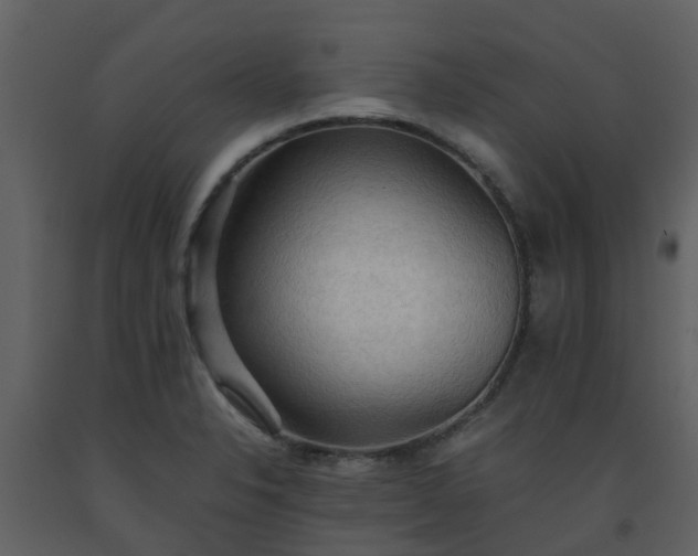 X0000093591326200710221515