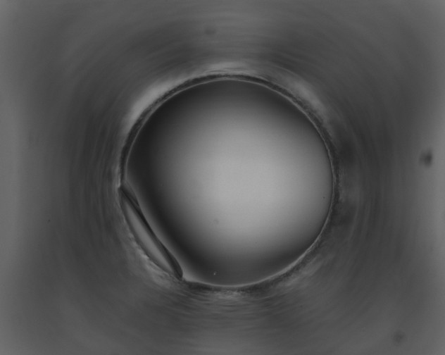 X0000093591328200710221515