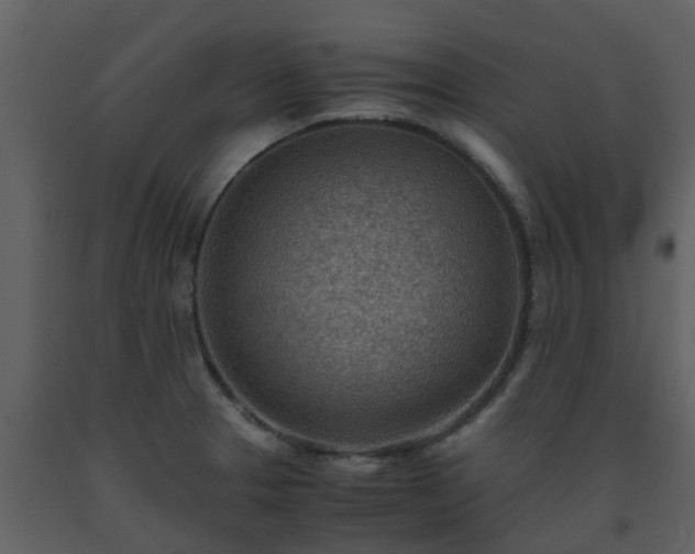 X0000093591329200710221515