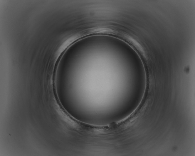 X0000093591330200710221515