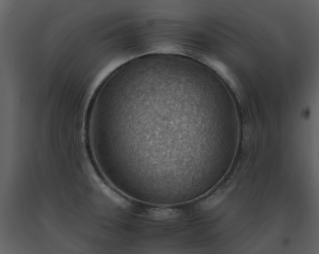 X0000093591331200710221515