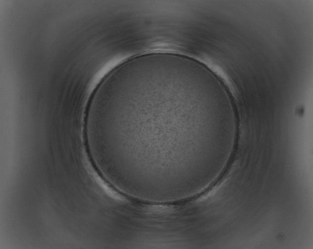 X0000093591333200710221515