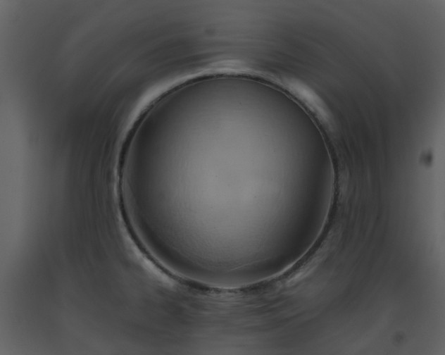 X0000093591334200710221515
