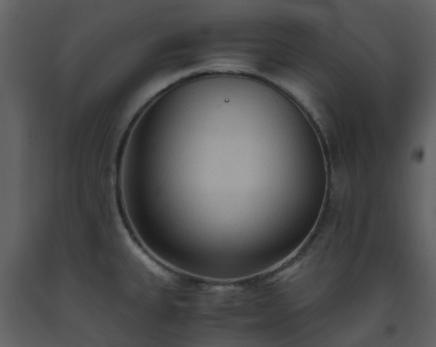 X0000093591335200710221515