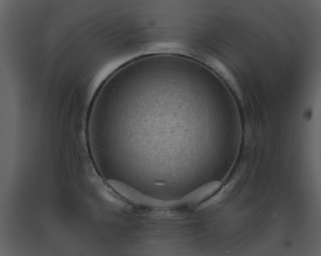 X0000093591336200710221515