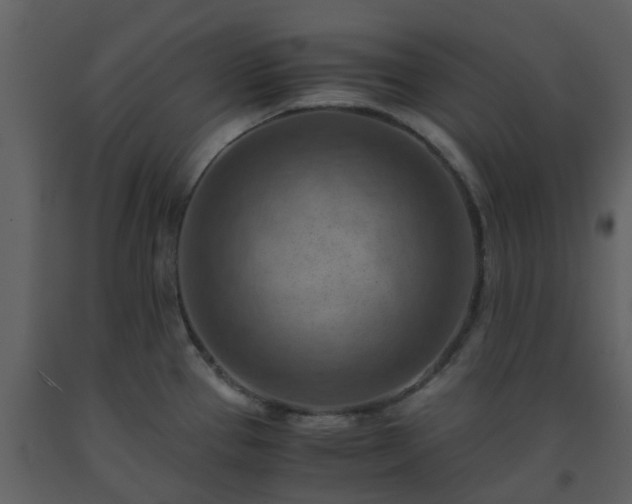 X0000093591337200710221515