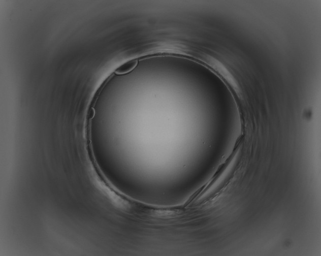 X0000093591339200710221516