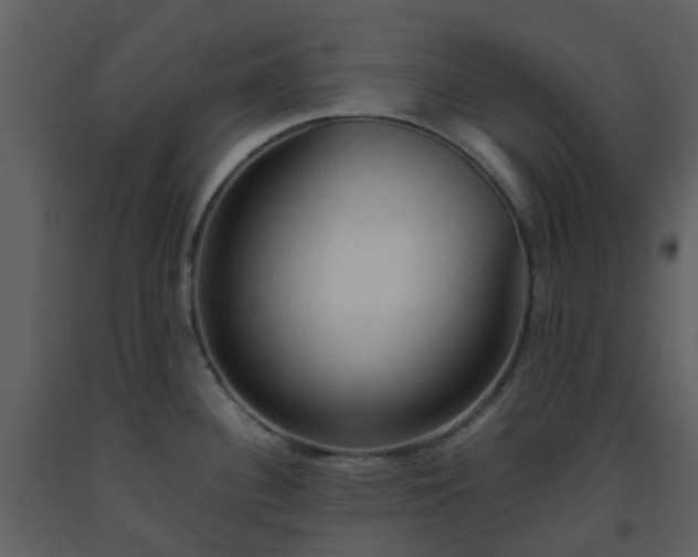 X0000093591340200710221516