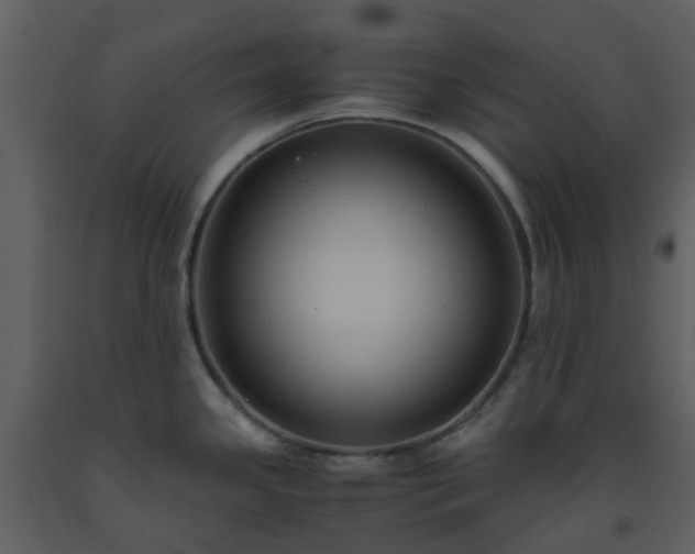 X0000093591341200710221516