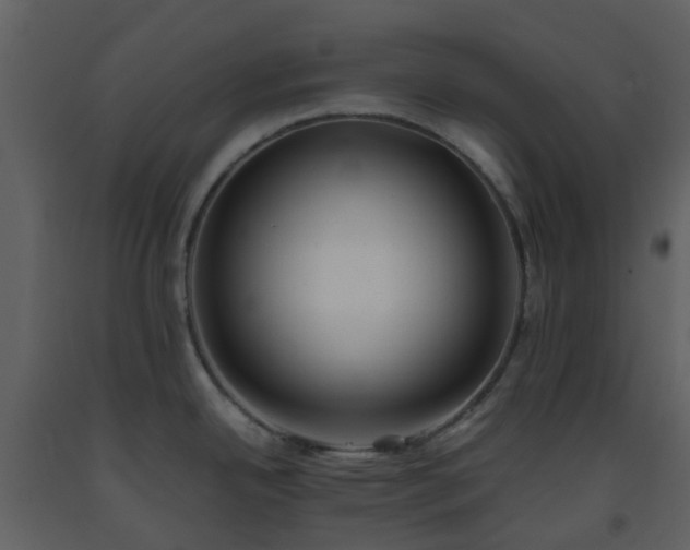 X0000093591342200710221516