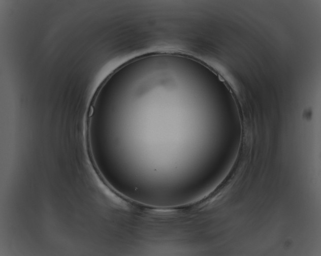 X0000093591343200710221516