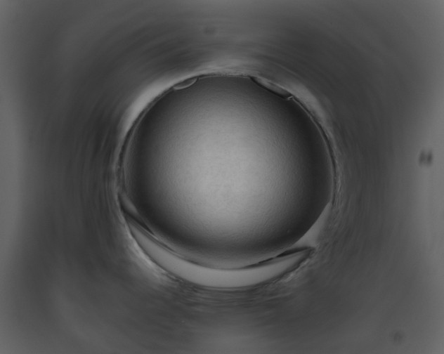 X0000093591344200710221516