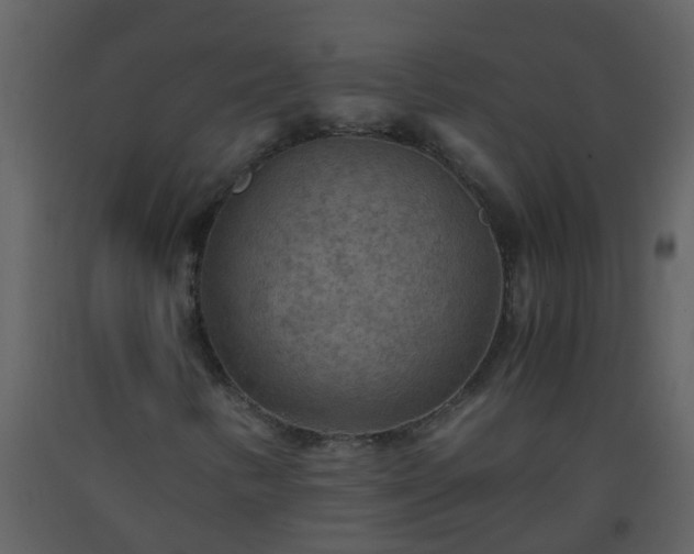 X0000093591346200710221515