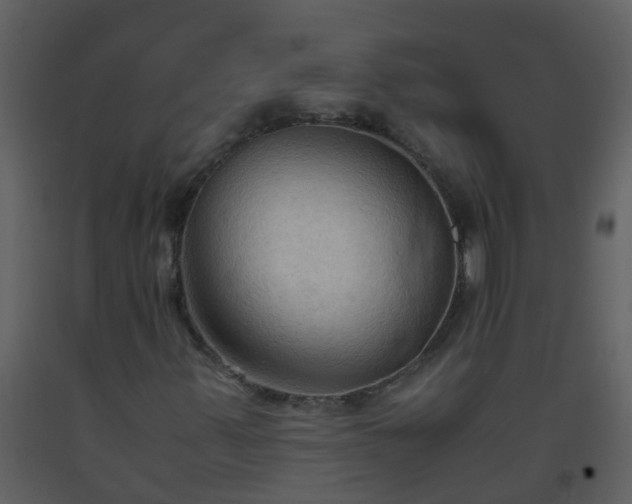 X0000093591347200710221515