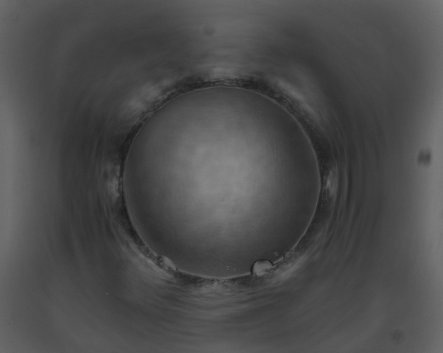 X0000093591348200710221515