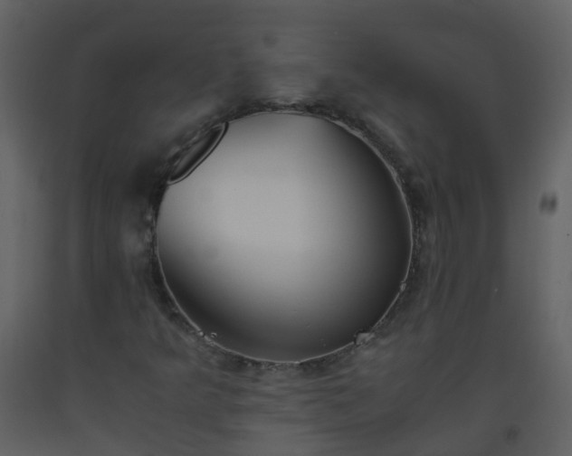 X0000093591349200710221515