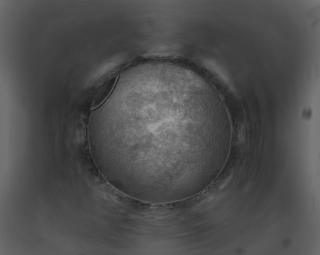 X0000093591350200710221515