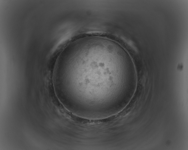 X0000093591351200710221515